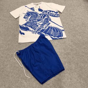 Conjunto Burberry azul